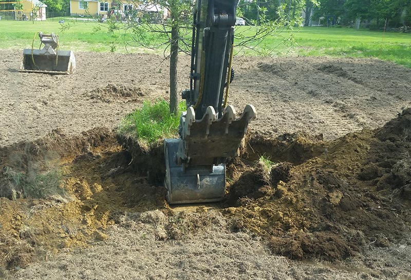 Tree and Stump Removal